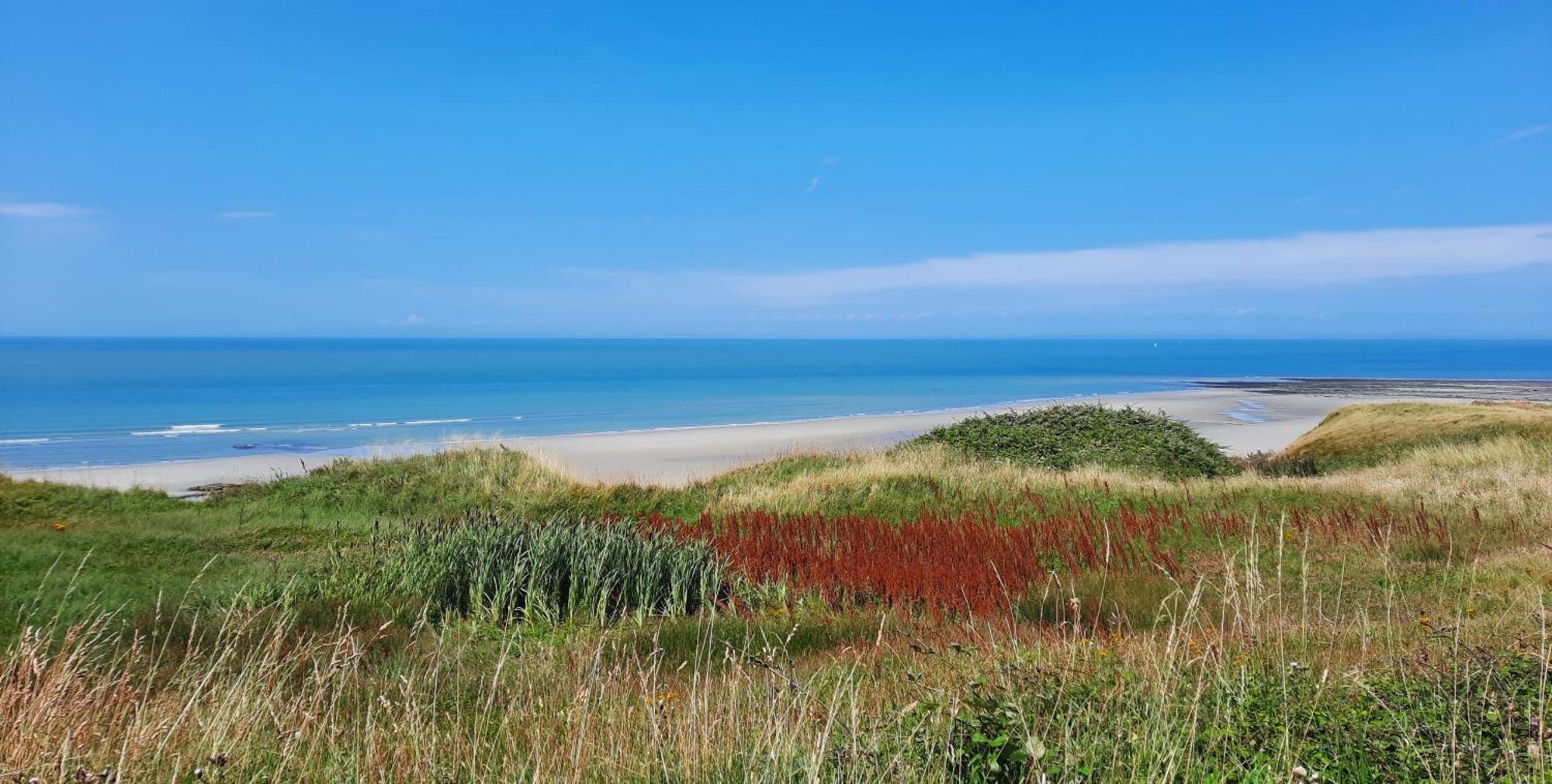 Le 246 - Duplex Face A La Mer Pour 4 Personnes, Wifi, Tv Full Sat, Parking Wimereux Exteriör bild